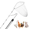 TOXYMHO Chicken Catcher, Adjustable from 29 inches to 74 inches