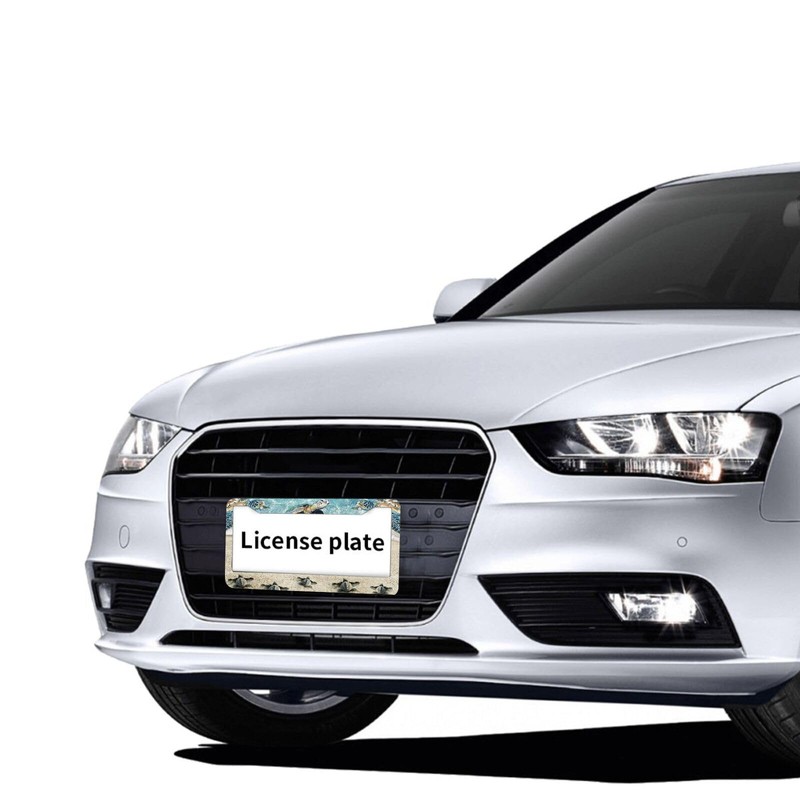 Sea Turtle License Plate Frames Beach License Plate Holder Covers