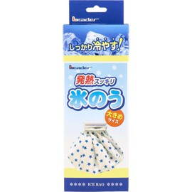 leader ice bag large