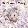 mini&moe Guinea Pigs Bedding 50L After Expandsion: Odor Control and