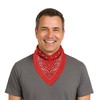 Red Bandana Party Accessory (1 count)