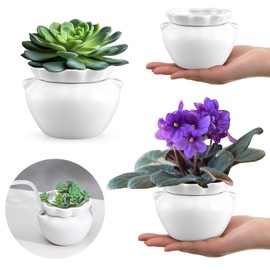 Sunnychicc 4 Set 4 Inch African Violet Pots Self Watering White Ceramic Planter Highly Absorbent Inner Planter Pot for Indoor Plants Plant Lovers Ideal Plant Pot Thriving Plant Flower Maintenance