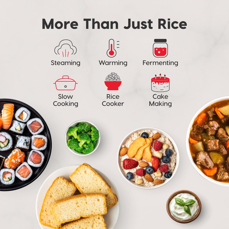 IRIS USA Micom Japanese Rice Cooker, 5-Cup Uncooked/10-Cup Cooked, Fuzzy