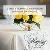 Hagerty Silver Care For Silver And Silver Plated Items A116051