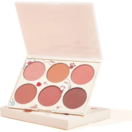 Paleta de Rubores de 6 colores: Rubor en Polvo Facial Mate para Mujeres, Contorno y Resaltado (Paleta de rubores de 6 colores)
