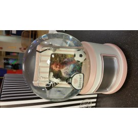 THINGS REMEMBERED DANBURY FALLS WATER GLOBE " We Are The Champions"Girl Soccer