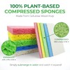 AIRNEX Biodegradable Compressed Cellulose Sponges - Pack of 32 Pop