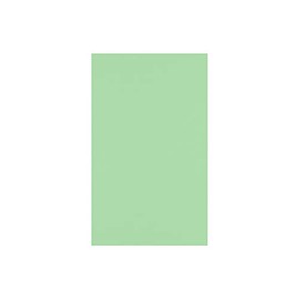 LUXPaper 8.5" x 14" Paper | Legal Size | Pastel Green | 60lb. Text | 50 Qty