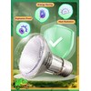 Heat Lamp Bulb, Halogen Bulb, Full Spectrum UVA UVB, Intensified