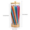 Straw Holder Dispenser for Counter, 10 Inch Tall Drinking Straw