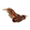 Purrs Wren Bird Attachment- Fits PurrSuit, Frenzy & DaBird wand