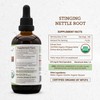 Stinging Nettle Root USDA Organic | Alcohol Extract, High-Potency Herbal