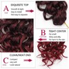 YXCHERISHAIR 8 Packs Curly Crochet Hair 14inch GoGo Curl Crochet