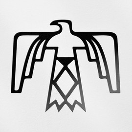 Decal Stickers of Native American Thunderbird Design (Black) (Set of 2) Premium Waterproof Vinyl Decal Stickers for Laptop Phone Accessory Helmet Car Window Mug Tuber Cup - BICVER1761171BLW19Y24