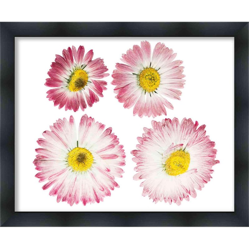 24x30 Shadow Box Black Solid Wood Display Frame | 2