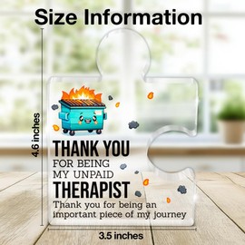 Friendship Gifts for Men Women, Thank You Gifts for Best Friend Bestie Sister Brother Coworkers, Dumpster Fire Acrylic Puzzle Piece Plaque Office Home Decor