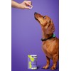 FÜRREE Joint Support Collagen Complex Plus for dogs - 100