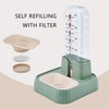 Pet Automatic Water Dispenser, Self Refilling with Filter, Transparent Scale