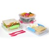 Sistema To Go Collection Sandwich Box Food Storage Container, 15.2