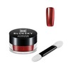 Bluesky Chrome Nail Powder Kit With Applicator Brush Metallic Gel