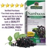Nature's Answer Sambucus Dietary Supplement, Original for Daily Immune and