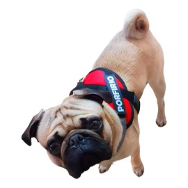 Pechera Arnés Para Pug Personalizado De Uso Rudo