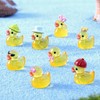 Mayoii 44pcs Mini Ducks Set Cute Resin Noctilucent Tiny Ducks