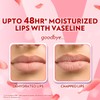 Vaseline Lipstick Rosy 0.17 Ounce