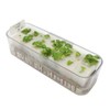 Living Farm Basil Hydroponic Cultivation Seedling Kit (Seeds)