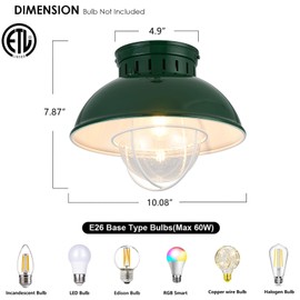 ALAISLYC Outdoor Ceiling Light Farmhouse 10 Inch Green Flush Mount Ceiling Lights Fixture Metal Cage Seeded Glass Semi Entry Hall Light Fixtures