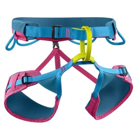 EDELRID Women's Jayne III Climbing Harnesses, Turquoise, L