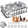 Acshio Rat Cage Platform, Metal Basket Rat Hammock with Mat,
