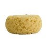 Evriholder Esponja Corporal de Espuma para Exfoliante Grande para una