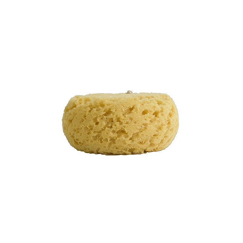 Evriholder Esponja Corporal de Espuma para Exfoliante Grande para una