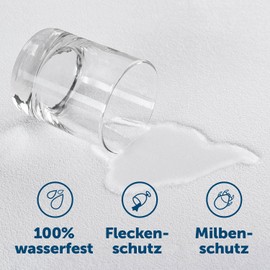 Blumtal Set of 2 Waterproof Cushion Covers, 40 x 80 cm, Cushion Protector with Zip, Breathable, Anti-Dust Mite, Oeko-Tex® 100 Certified