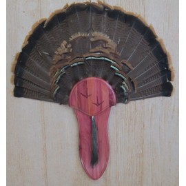 Taxidermists Woodshop The Cedar Carved Turkey Mounting Kit with Long Beard Plate