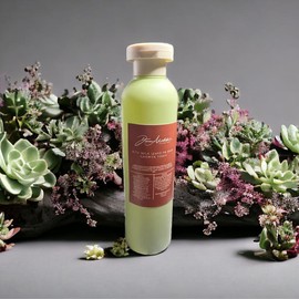 Dionne Michelle's Luxury Hair Rice Milk Leave-In Hair Growth Tonic