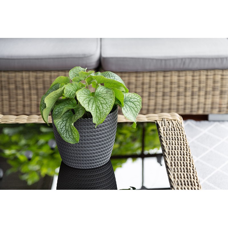 Tymar Flowerpot, pack of 2, round shape, planter, crochet look