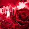 Love Forever Long Stem 24k Gold Foil Trim Red Rose