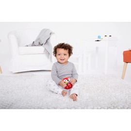 Skip Hop Explore and More Roll Around Fox Rattle