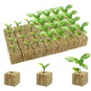 Rock Wool Cultivation 50 Pieces Rock Wool Cube Rock Wool