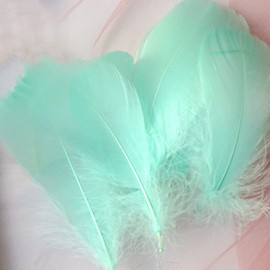 100Pcs Light Green Natural Dyed Goose Feathers, 3-5Inch Craft Feathers Assorted Colors Feathers for Hat DIY Craft Wedding Party Birthday Clothing Decorations