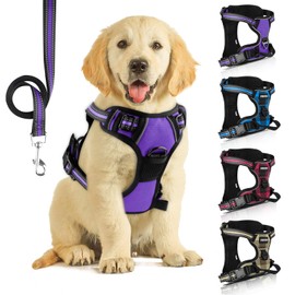No Pull Dog Harness with Leash included,Perfect Breathable Adjustable fit Harness Heavy Duty Reflective Front Harness,Best for Small Medium Large Dogs Outdoor Training (Baby Purple, M)