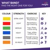 Meglio Resistance Bands Latex Free - Exercise Bands for Physiotherapy,