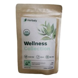 Herbaly Wellness Collection Tea - Vegan Gluten free, 28 Count Bag ( 1 Pack)
