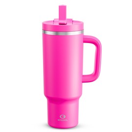 40 oz Tumbler with Handle and Straw: Stainless Steel Insulated Tumbler Keeps Cold for 24 Hours, Leakproof Travel Cup Fits in Cup Holder and BPA-Free, Persian Rose