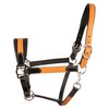 Exion Leather Soft Padded Orange Halter and Leather Lead with