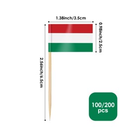 AhfuLife 100pcs Hungary Toothpick Flags, Cocktail Stick Flags for National Day Sandwich Food Cupcake Toppers, Tableware, World Cup Party Supplies, Pub Royal Event Decor (100 Pcs)