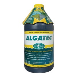 EasyCare 10064 Algatec Synergy Algaecide-Water Clarifier