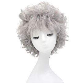 Fujitatsu QB-F17 Afro Wig, Afro Hair, Afro Wig, Perm, Heat Resistant, Cosplay, Wig, Fun, Party Goods, Outfit, Wig Net, Gray Silver